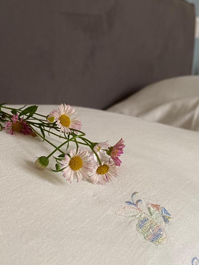 Apartament Casa Di Carlo Pallanza Zewnętrze zdjęcie